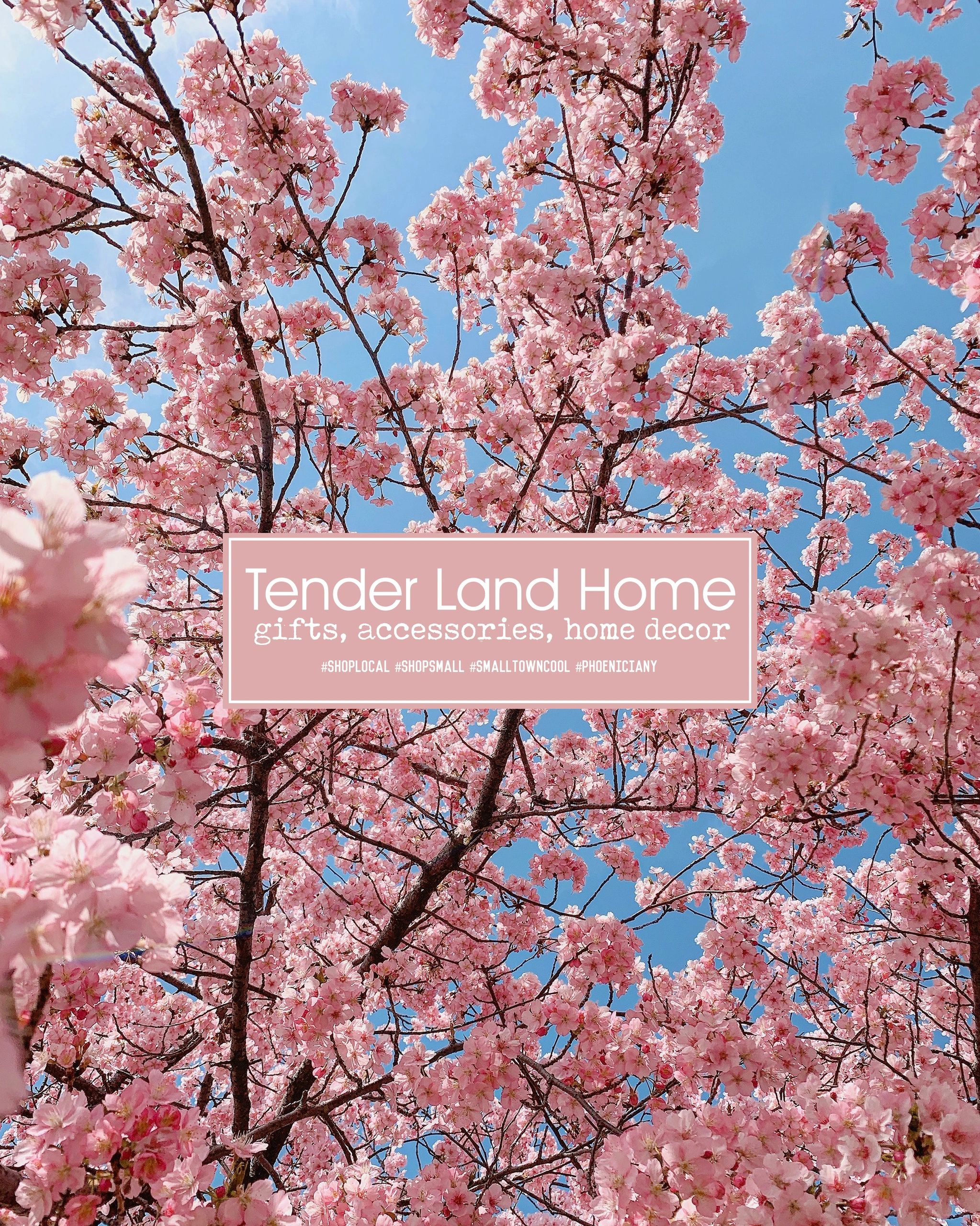 Tender Land Home Unique Gifts and Accessories Shop located in